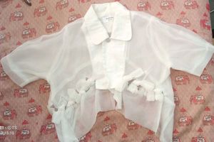 white, semi-sheer, short-sleeved blouse or top