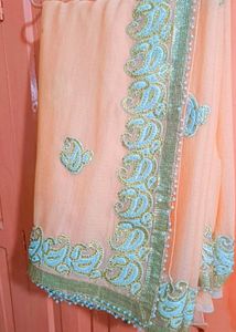 Elegant Embellished Saree
