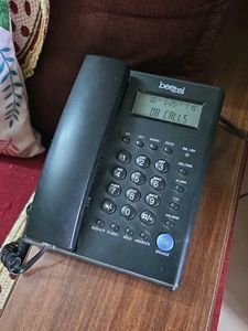 Landline Telephone