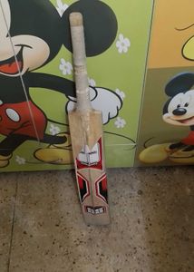 hi I want to sell this cricket bat