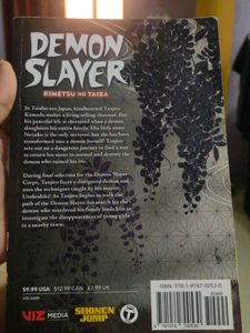 Demons Slayer