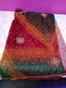 Embroidered Saare