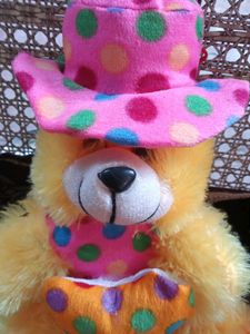 Colorful Soft Teddy Bear