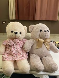 Cute Teddy Bear Duo