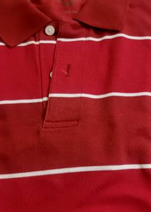 Red Striped Polo Shirt