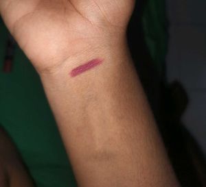 Plum Twist &amp; Go Matte Lipstick
