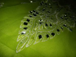 Chicken Kurti