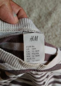 Boys T-shirt (Pack Of 5)