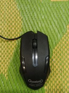 Mouse