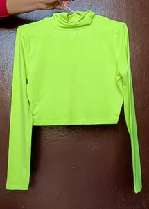 Parrot 🦜 💚 Green Shein Top With Full Sleeve Neck