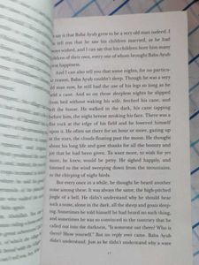 And the Mountains Echoed by Khaled Hosseini