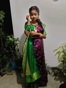 Purple And Green Banarasi Silk For Womens