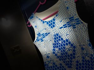 Blue &amp; White Sleeveless Dress