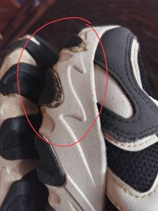 Women Sneaker