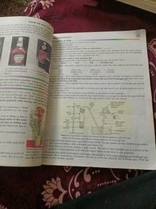 Class 10th S Chand Chemistry Book