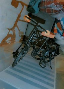 Metal Showpiece Cycle