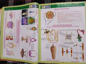 Bioimagica Textbook