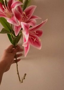 New Calla Lilly Flower Bunch