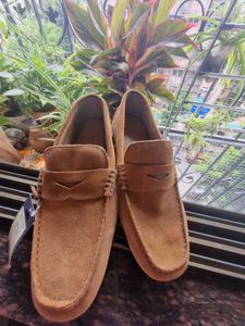 Brown Suede Loafers