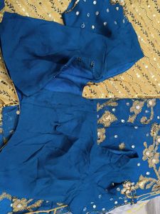 beautiful saree with blouse