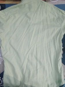 Stylish Green Shirt