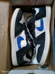 Nike SB Allyoop Sneakers For Men