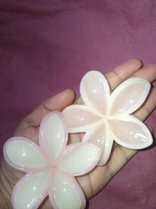 Flower Hair Clips (Set of 2)