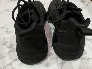 lamborghini Shoes