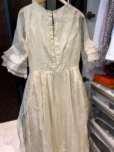 Elegant Embroidered Dress