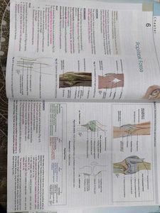 Human Anatomy Vol. 2 with free workbook
