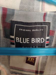 Brand New Cotton Shirt