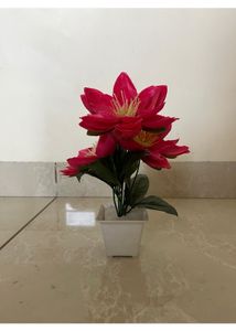 Set Of 5 Artificial Plants