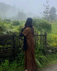 Elegant Brown Midi Dress