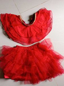 Beautiful Net Top With Skirt