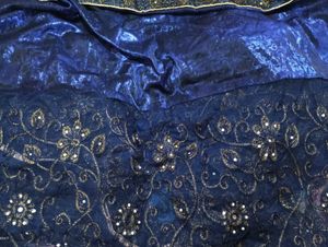 Designer Saaree