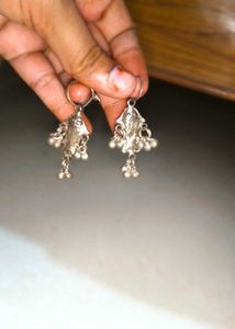 Silver Fish