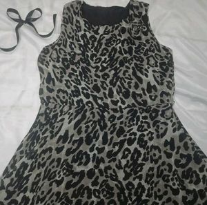 Cheetah Print Dress And Urbanic Two Toned Top