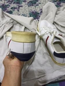 Men White Shoes