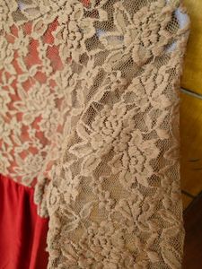 AND Rust Suede Dress
