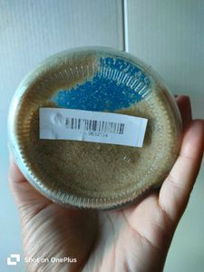 Sahil Masala Pure Garlic Powder