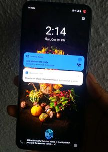 Vivo V21 5g