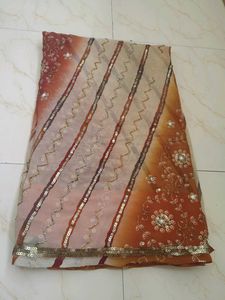 Elegant Embellished Saree