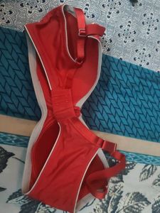 Amante Branded Padded Bra