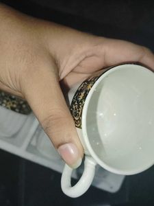 Cups