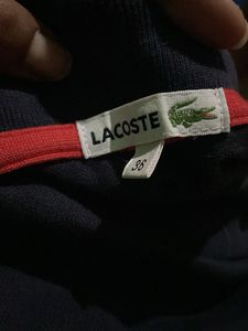 Lacoste Polo Dress