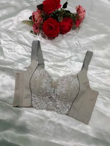 Imported Designer Corset Bra