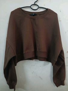 Brown Cropped Sweatshirt