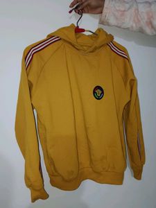 Mustured Hoody