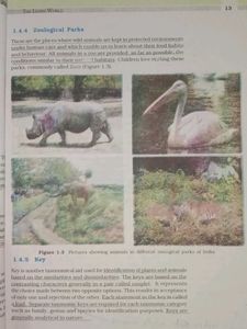 NCERT BIOLOGY TEXTBOOK OF CLASS 11TH