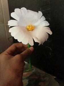 Handmade Paper Daisy(Colour Options -white/Yellow